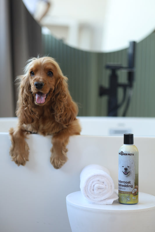 Deshedding Shampoo