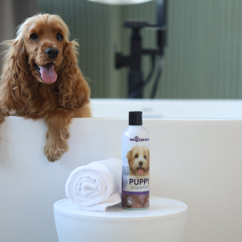 Puppy Shampoo