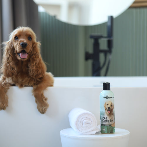 Pet Oatmeal Shampoo