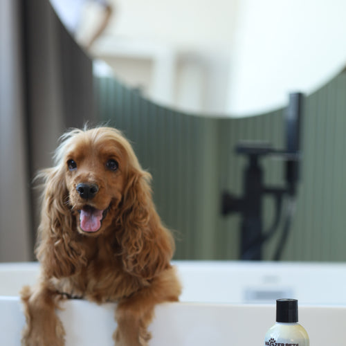 Deshedding Shampoo
